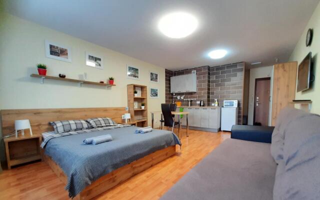 Апартаменты на Северном переулке 50