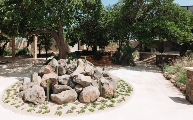 Piedra Viva Tepoztlan