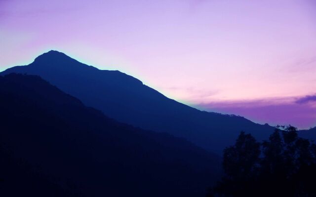 Green Trees Munnar