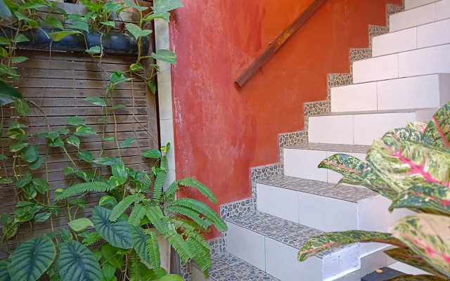 Double N Guesthouse