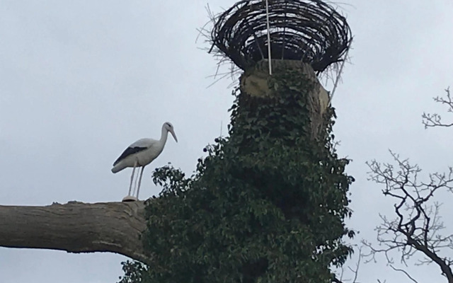 Raben Steinfeld Forststraße 3 Residenzpark