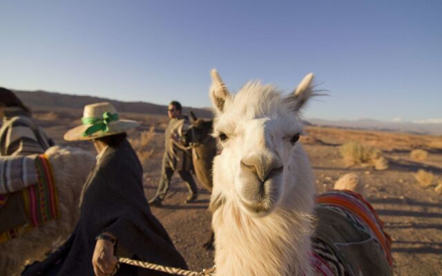 Noi Casa Atacama