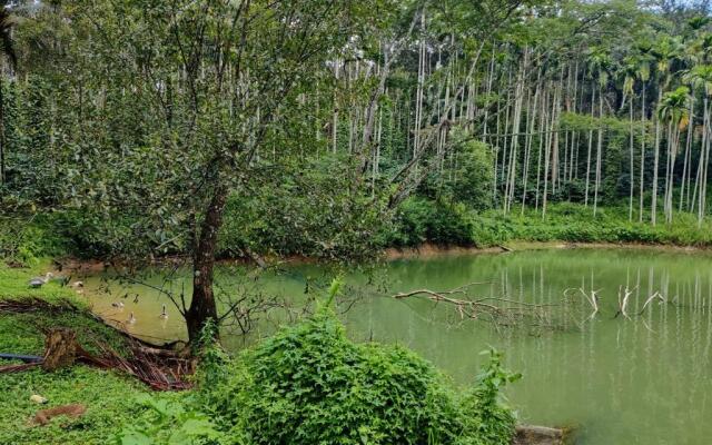 Avadale Coorg Stag - Groups Not Allowed
