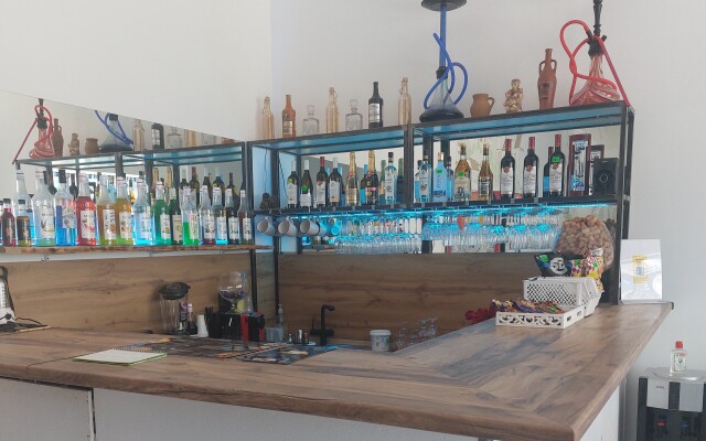 Электра Холидей