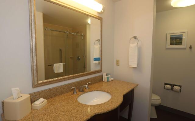 Hampton Inn Owego