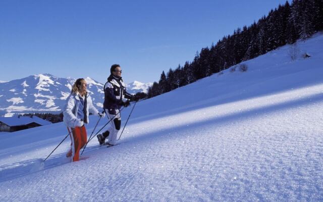 Inviting Apartment in Auffach Wildschönau near Ski Area