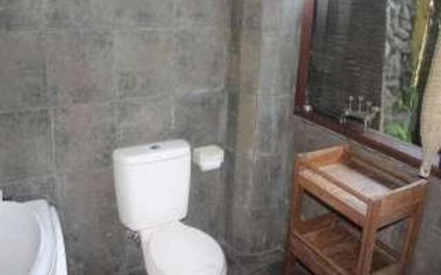 9th House