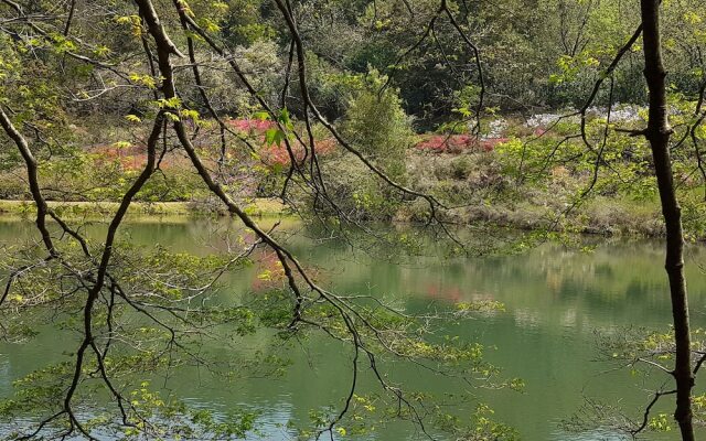 Sherwood's Country House