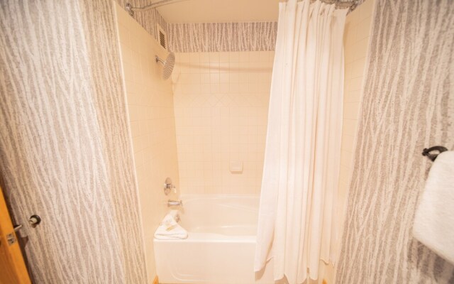 Dakota Lodge 8455 by SummitCove Vacation Lodging