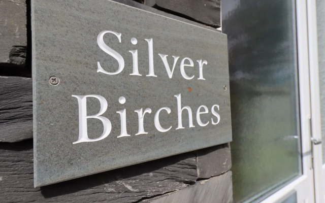 Silver Birches