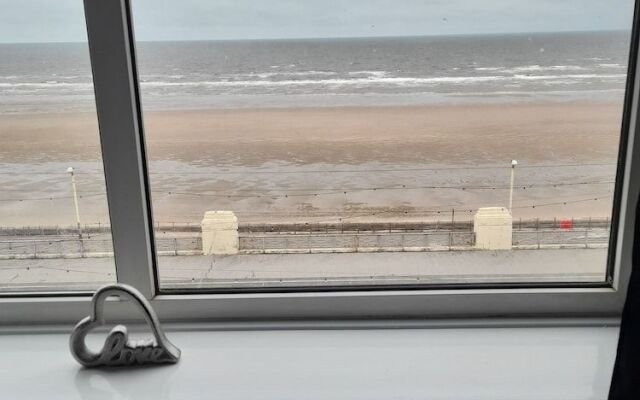 The Coast