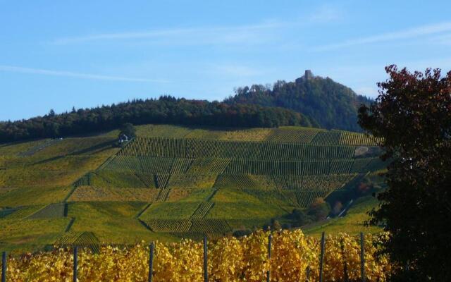 Winzerhof unter der Yburg