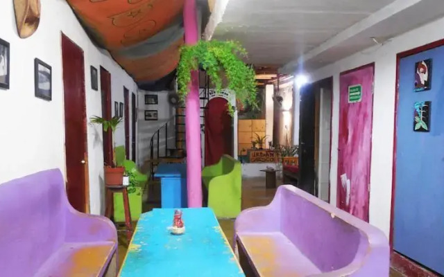 Xaman Eco-Hostel