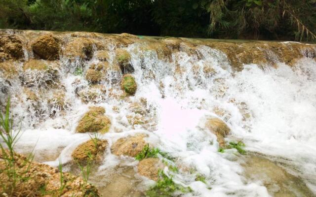 cabins sierraverde huasteca potosina "cabaña la ceiba"