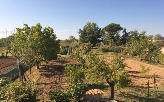 Tuscan Dream Casa Vacanze