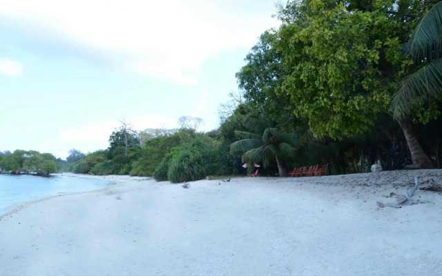 Coconhuts Beach Resort-Neil Island
