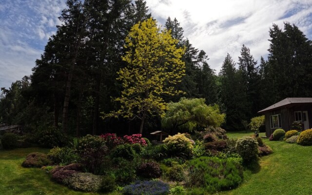 Sea La Vie Rare Peaceful Hidden Gem