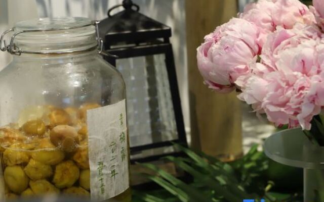 Shuimoju Village Hotel