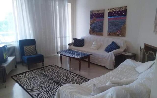 Seaview to Olympus, sunny, cosy apartment
