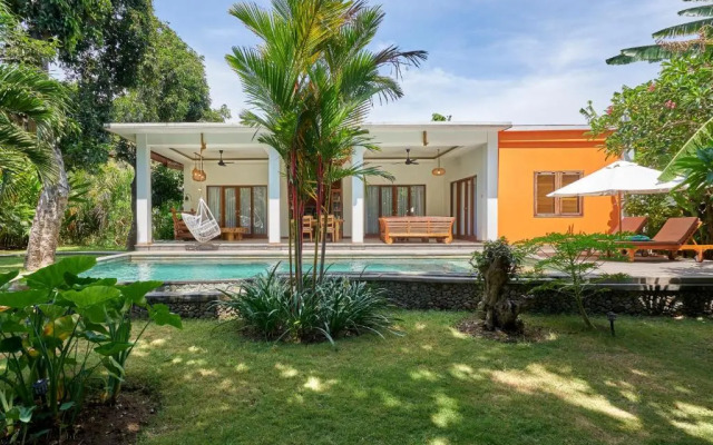 Pazzo Bali