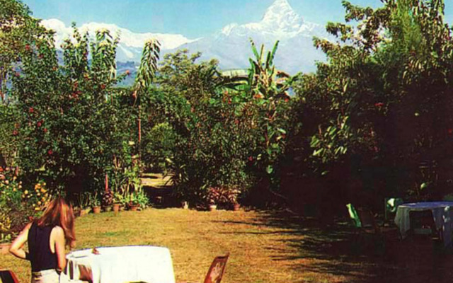 Dragon Hotel