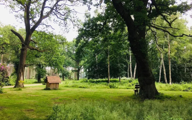 Hollicarrs Long Lane Lodge