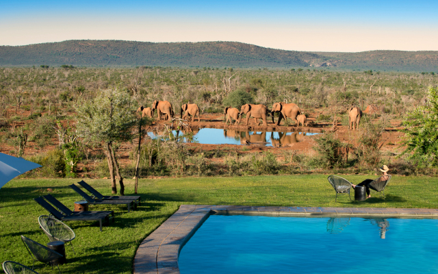 Madikwe Safari Lodge