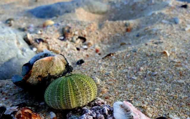 Spring Tide on 28 Main Struisbaai