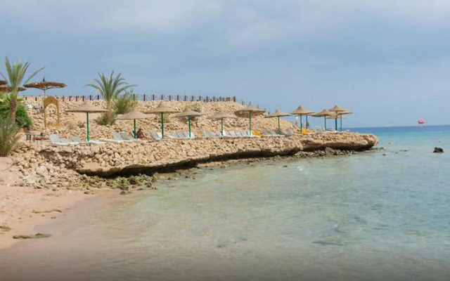 Oonas Dive Club