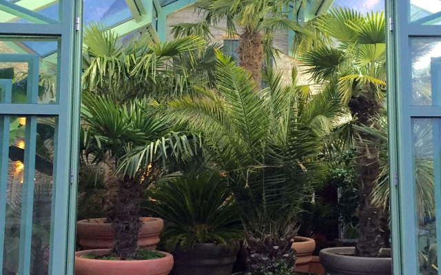 Wilsmann Apartmentvermietung