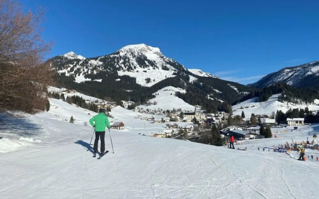 Skiblickhaus Comfortable Holiday Residence