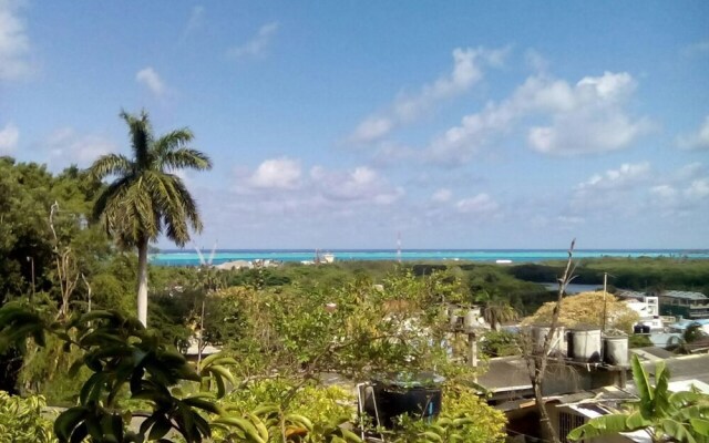 Bight View