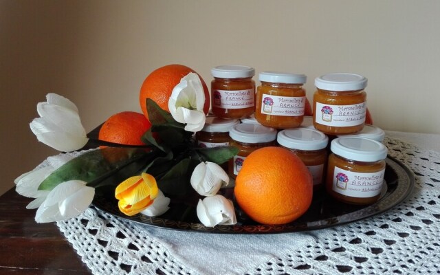 B&B Pathirion