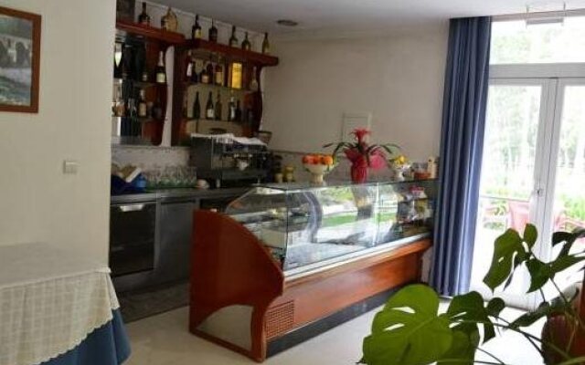 Hotel Pinheiro Manso