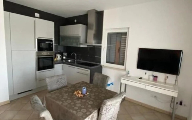 Ivy - Modern With Terrace - A1 Tulipan