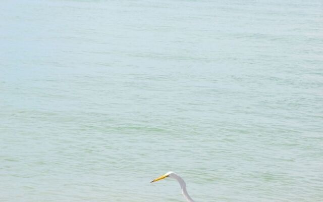 Runaway Bay Resort by BBG