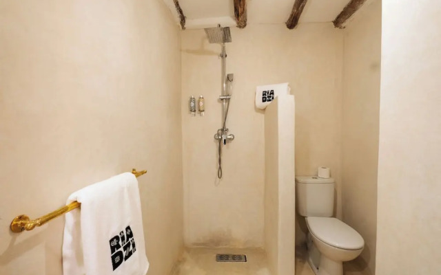 Riad Zi