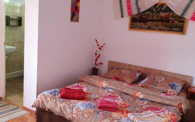 Casa de Vacanta Neagu