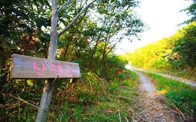 Yeosu Tirol Pension