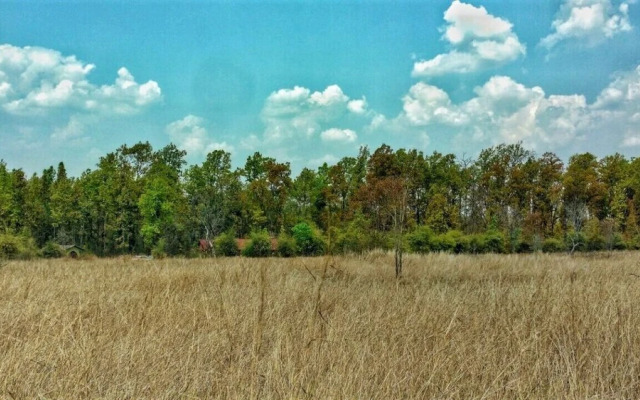 Saccharum Safari Lodge