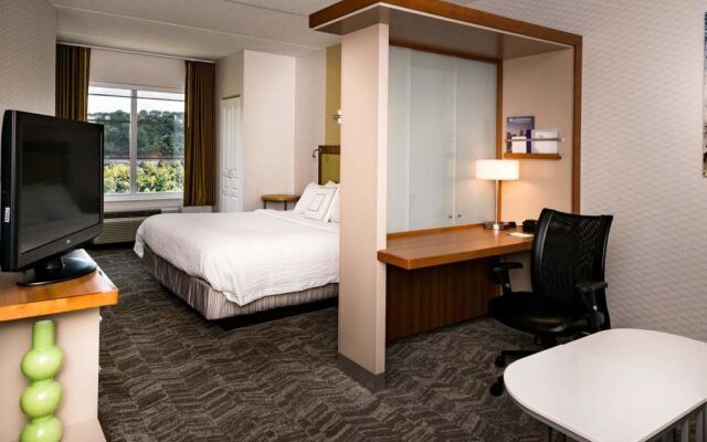 Springhill Suites Pittsburgh Southside Works