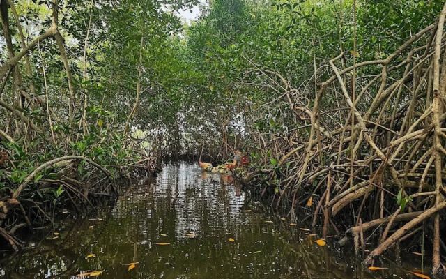 Cabañas Casa de Agua