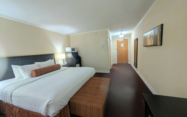 Best Western Swan Castle Inn
