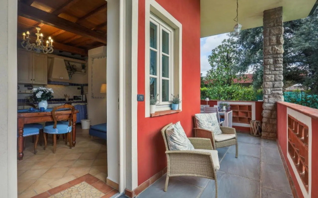 MIRTILLO di Home Hill