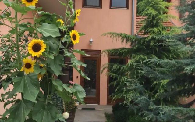 Valentin Vendégház