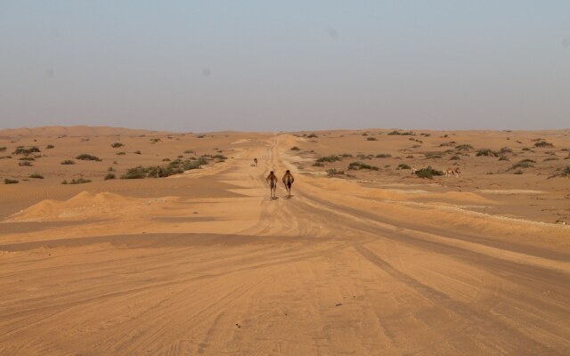 The Golden Palm Oasis