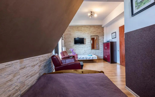 Brzoza w centrum Zakopanego