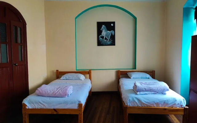 Vibes Hostel