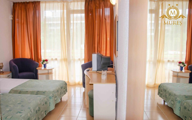 Hotel Mures