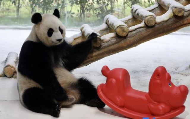 Nanjing Ziqing Lake Hot Spring Resort (Wildlife World)